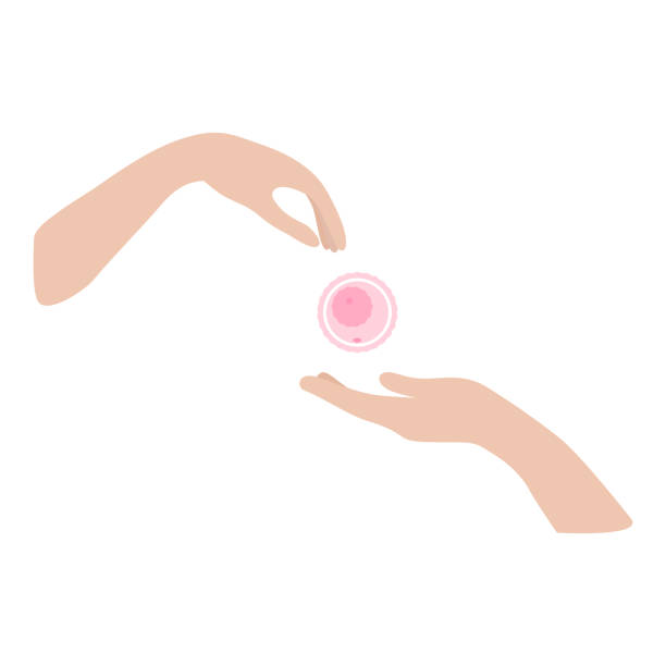 Embracing Your Path to Parenthood